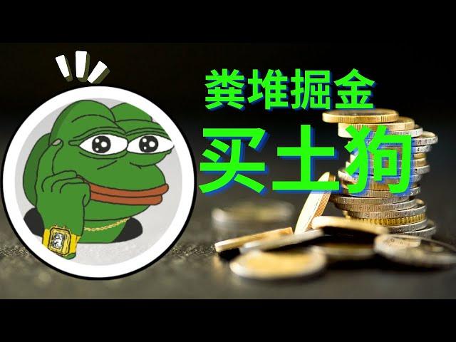 怎麽買土狗？2023教程。怎麽找優質土狗？土狗有哪些坑？ #土狗幣 #土狗