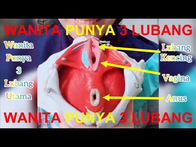 LUBANG VITAL WANITA