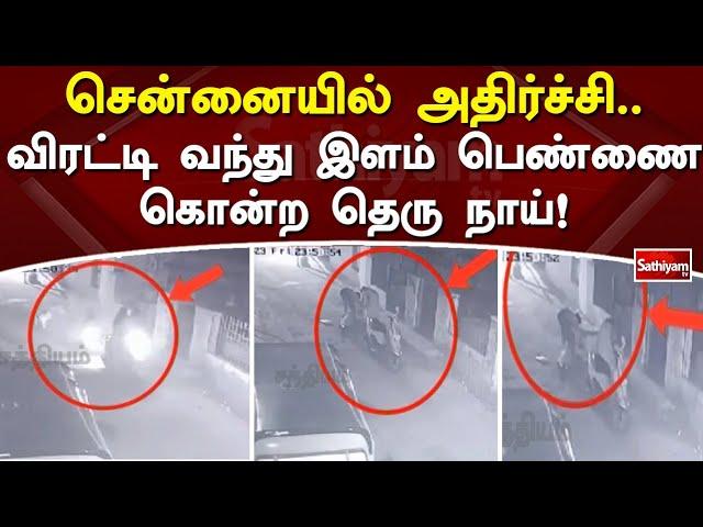 இளம்பெண்ணை விரட்டிய தெருநாய்.. சோகச் சம்பவம் | SathiyamTV