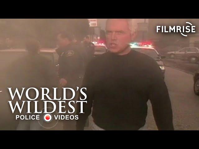 Surviving the Moment of Impact | World's Wildest Police Videos | Season 6, Episode 3