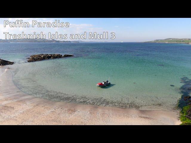 Puffin Paradise ... Treshnish Isles and Mull 3