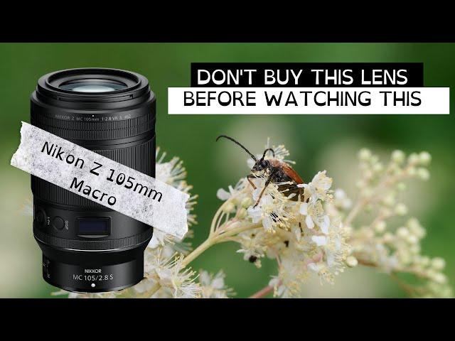 This Might Annoy You About The Nikon Z 105mm Macro Lens (Review)