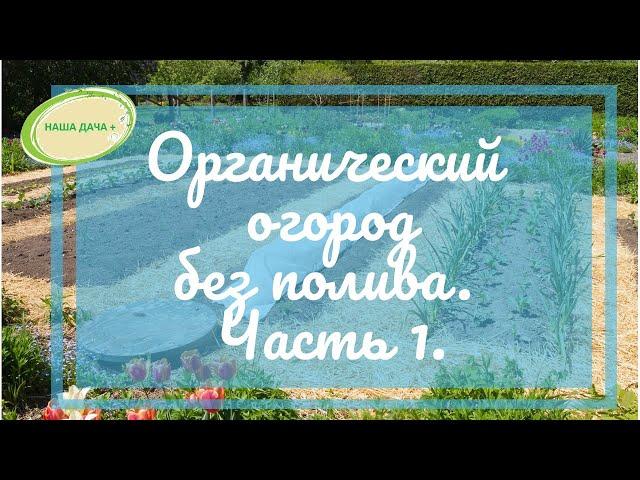 Органический огород без полива. Овощи в теплых грядках. Арбузы. Часть 1.  Благушка Людмила