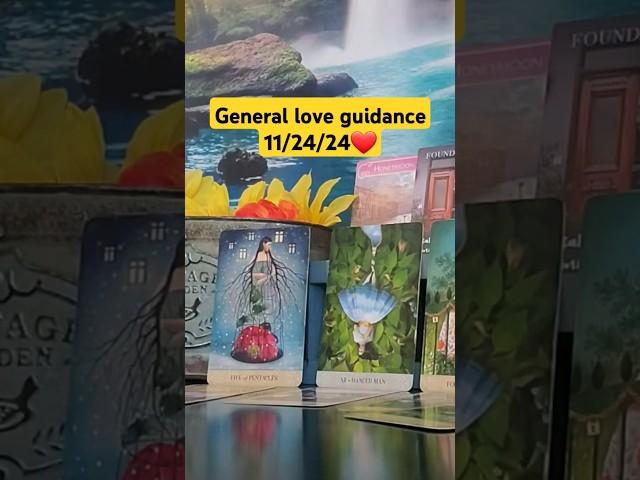 General love guidance 11/24/24️#tarot #love #lovestatus  #soulmate #truelove #divine #feedshorts