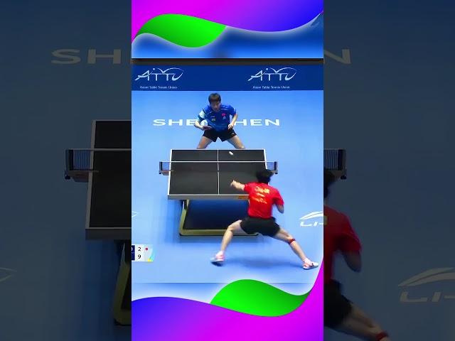 All-round Player Table Tennis #탁구 #卓球 #乒乓球 #pingpong #tabletennis #sports #shorts