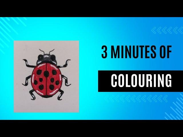 3 Minutes of Colouring: LADYBIRD - A Short Colouring to DE-STRESS and RELAX #adultcoloring #coloring