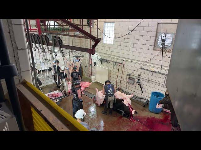 *LIVE FOOTAGE* The Bearded Butchers Skinning a 2,500# Wagyu Beef!