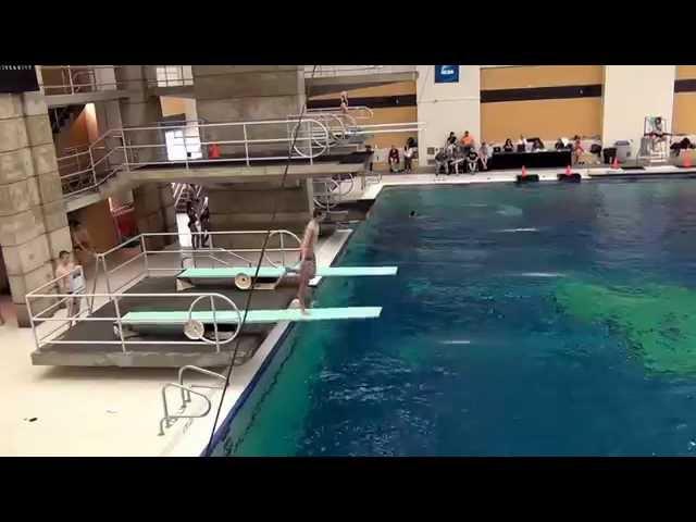 Joshua Richardson 5333d 1m diving 2015