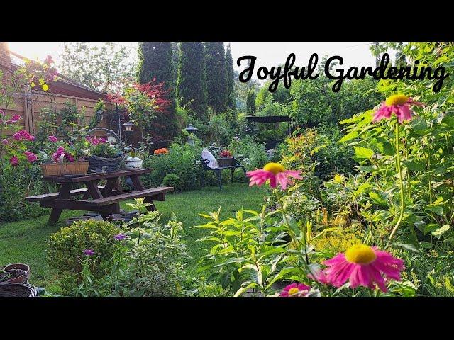 Finding Enjoyment and Relaxation in My Urban Garden