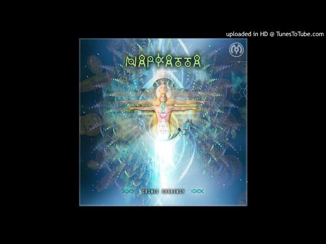Narkatta - Decommodification Of The Modified