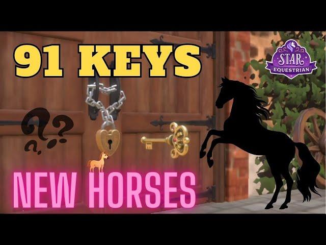 I  Used All My Keys Before It Was Too Late | Star Equestrian Horses