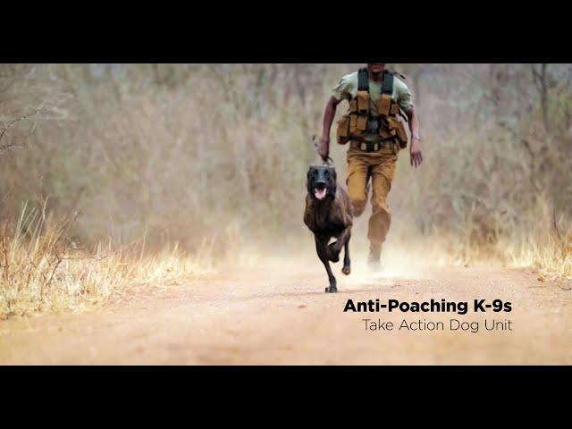 Patrol: Anti-Poaching K-9s: Take Action Dog Unit.