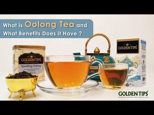 What is Oolong Tea | Health Benefits of Oolong Tea | GoldenTipsTea