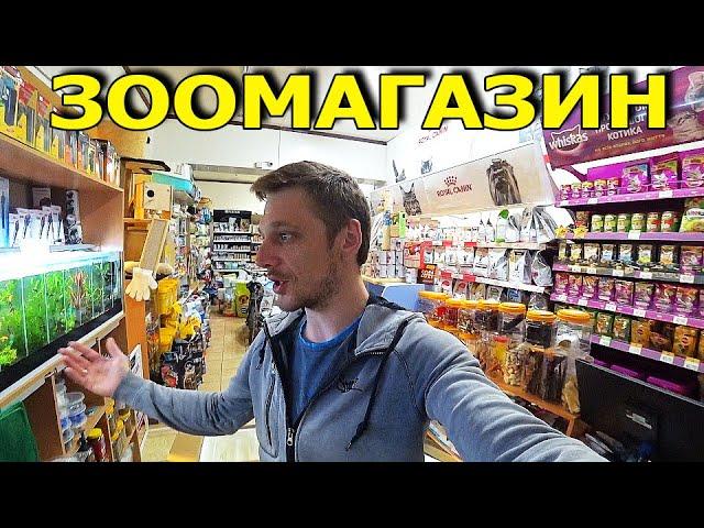 Я в Зоомагазине