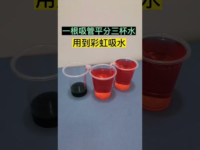 A straw divides three cups of water equally, and I use the rainbow to absorb water