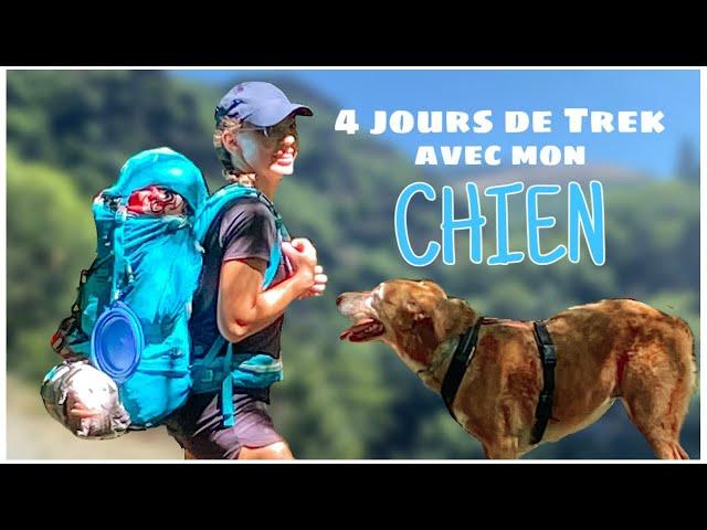 4 jours de Trek avec mon chien | vlog CÉVENNES