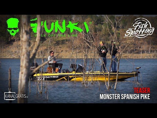 [TEASER] Gunki TV - Monster Spanish Pike - Fish Spotting