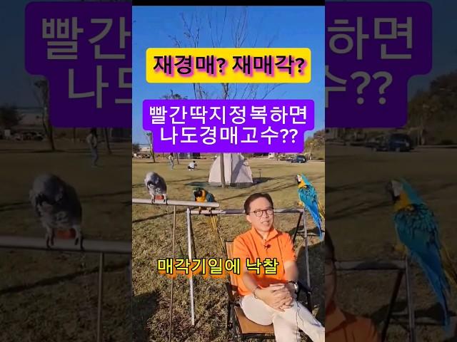 재매각경매? #부동산경매 #부동산경매강의 #경매기초 #경매초보 #재매각#부동산재테크#직장인경매 #재경매#경제공부#경매고수#경제공부#입찰#낙찰#shorts