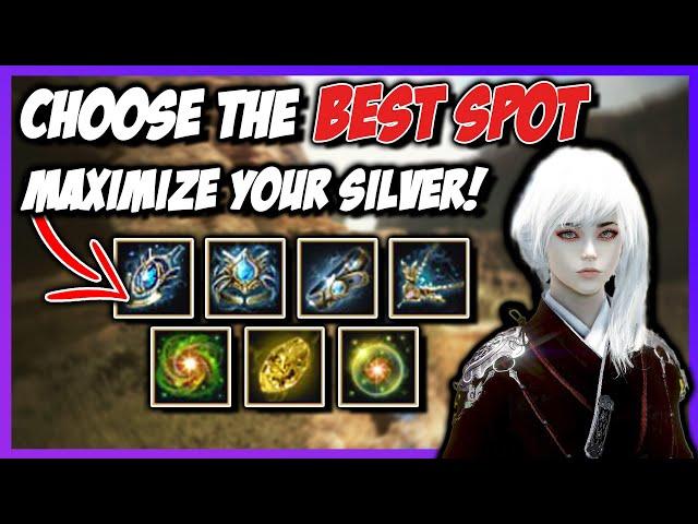 Good Grind Spot vs Bad Grind Spot - Maximizing Your Silver / h in BDO!