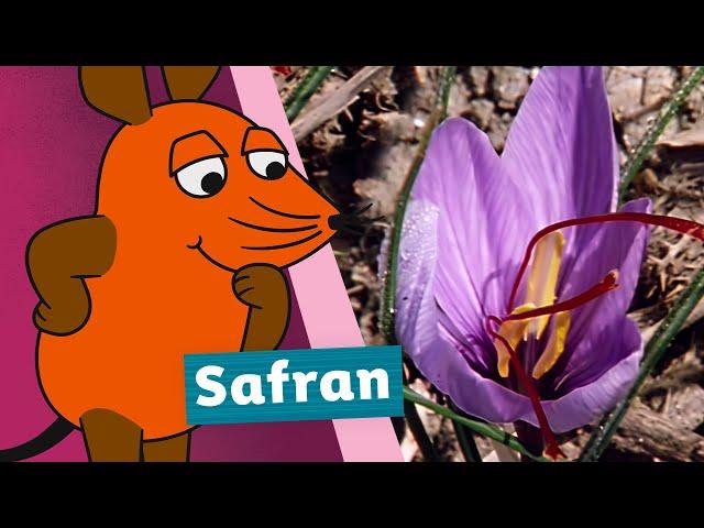 Was ist Safran? | Die Maus | WDR