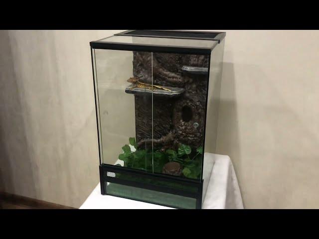 Террариум 45*30*30 для бананоеда