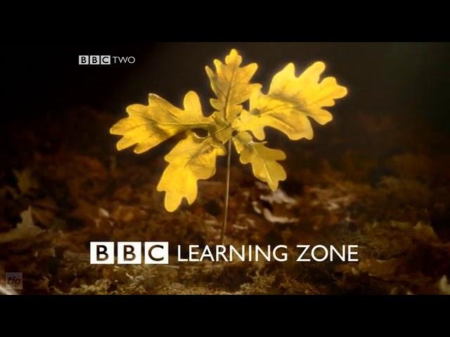 Learning zone ident languages and travel (2009)