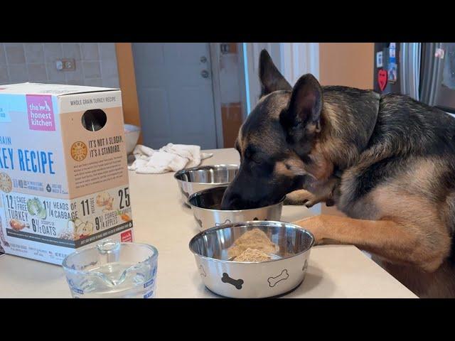 The Honest kitchen - Dehydrated Dog Food preparation