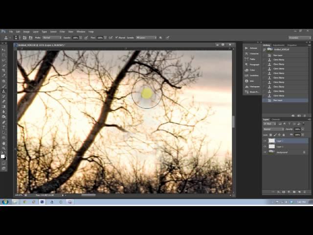 How To Use the Clone Stamp Tool in Photoshop