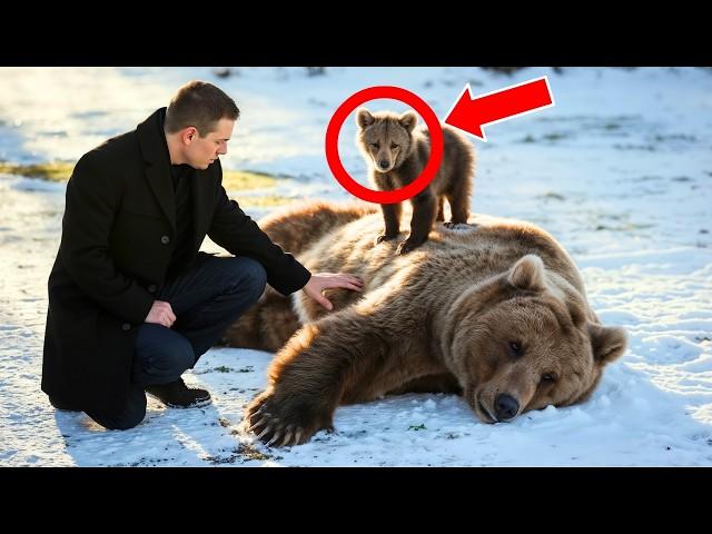 BEAR CUB CRYING BEGGED THIS MAN TO SAVE ITS MOTHER. BUT WHAT HAPPENED NEXT...