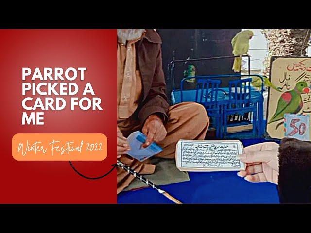 Winter Festival Race Course Jilani Park Lahore 2022 | Parrot picked a card for me | Winter Festival