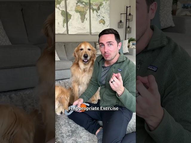The secret to stopping puppy biting!