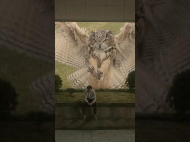 Background as Metaphor