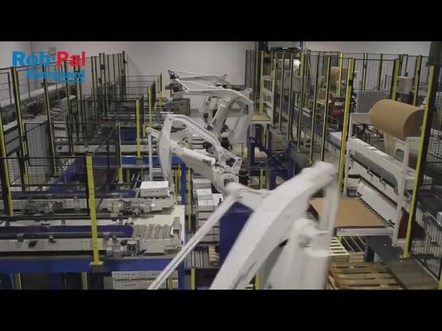 Hyundai Robotics for palletizing in one of biggest meat processing company in the World