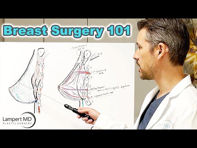 Breast Surgery 101 with Dr. Lampert