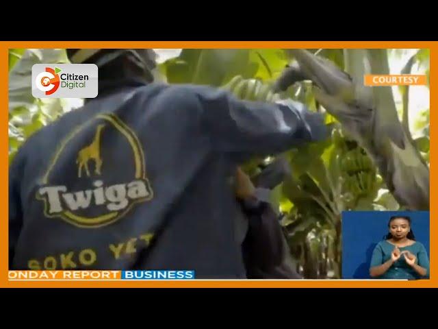 Twiga Food has raised Ksh 5.5B new funding