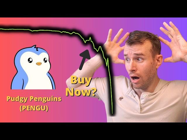 Buy The Pudgy Penguins Crash?  PENGU Crypto Token Analysis