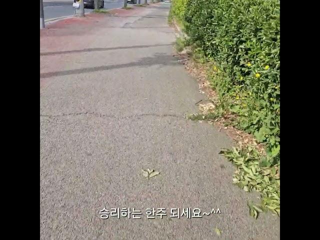 좋은일 가득한 한주 되세요~~^^