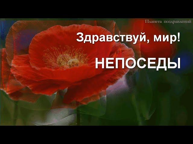 Здравствуй, мир! Непоседы