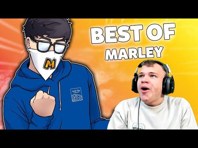 JYNXZI REACTS TO MARLEY BEST MOMENTS