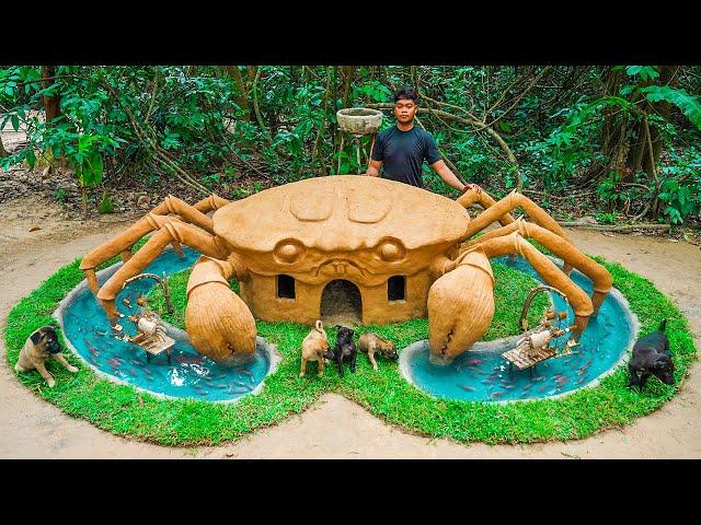 Build Dog House for Puppies in the Crab mud house surrounded by fish pond