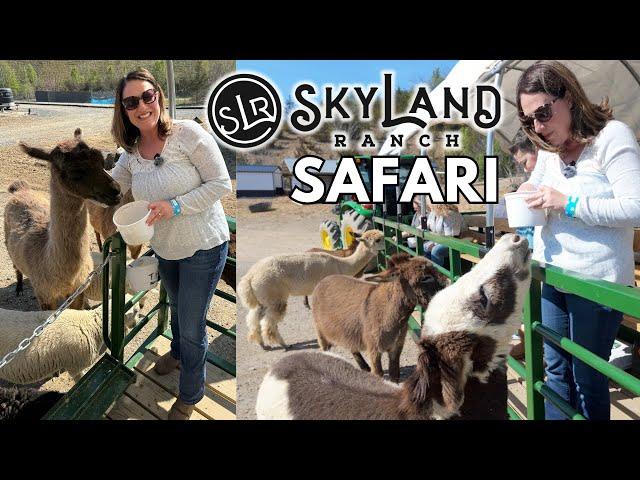 The Safari Hayride at SkyLand Ranch in Sevierville Tennessee