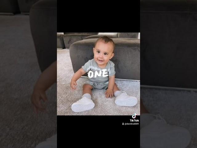 Royalty Family Tiktok