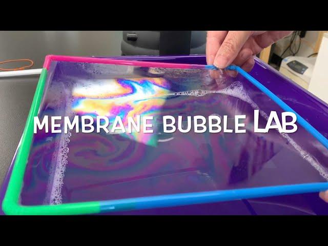 Cell Membrane Bubble Lab