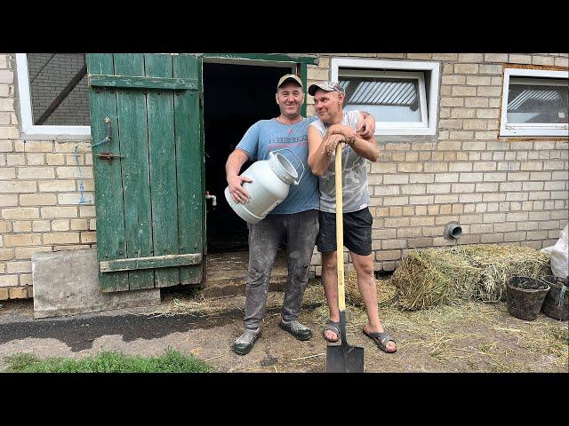 Все буде Україна! Бізнес на коровах всі збувають, а я завожу (Заробіток на Коровах)