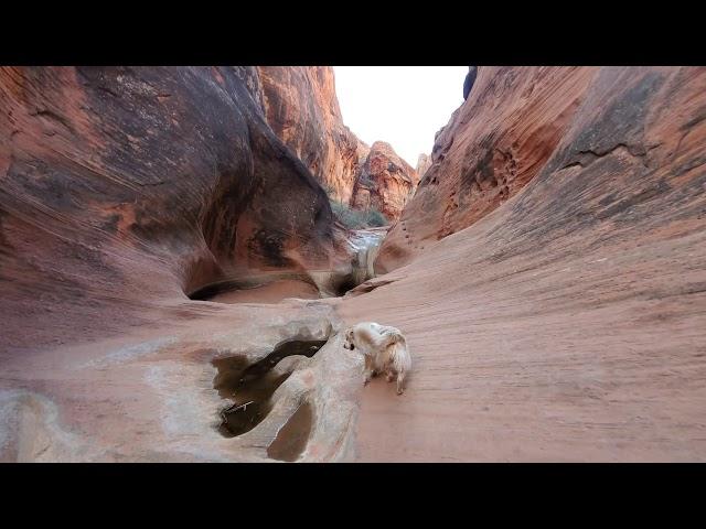 Red Reef Trail - Hiking Compilation - Red Cliffs National Conservation Area - Hurricane / Leeds, UT