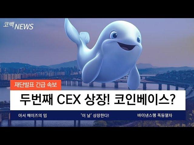 [벨루가나]바이낸스 상장 협상 이후 두번째 CEX 협상 논의! 코인베이스까지 가능합니다! 역대급 사전판매 잠시 뒤 종료합니다!