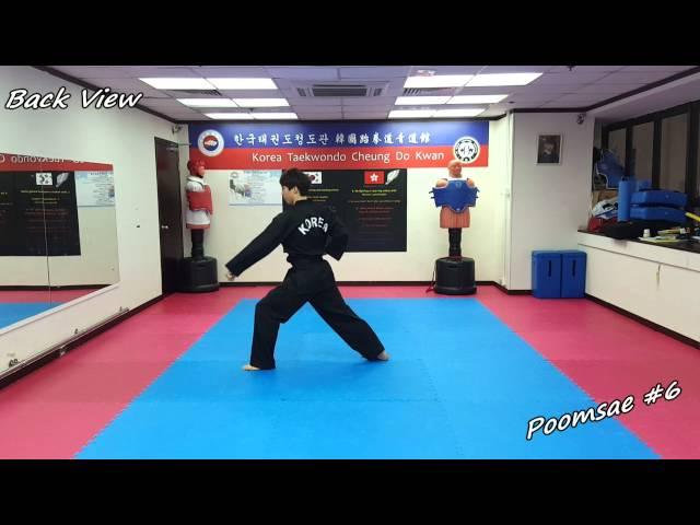 Taekwondo - Poomsae 6 (Yook Jang) Slow-motion & Mirror