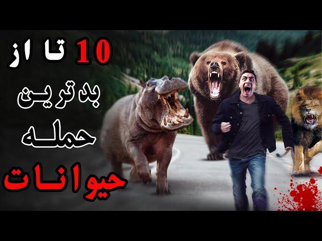 با  10 تا از خطرناک ترین حمله حیوانات به انسان در مستند سیگنال