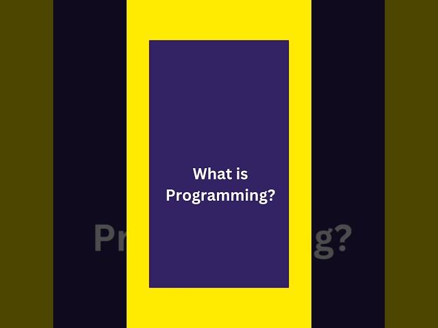 Understanding Programming and the Role of a Programmer