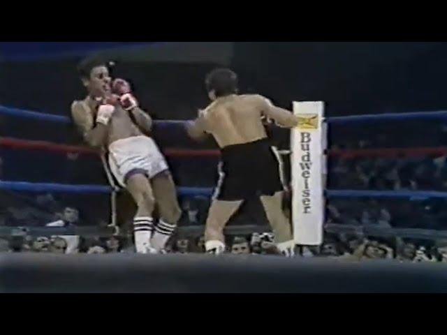 WOW!! WHAT A KNOCKOUT | Bobby Chacon vs Rafael Solis, Full HD Highlights